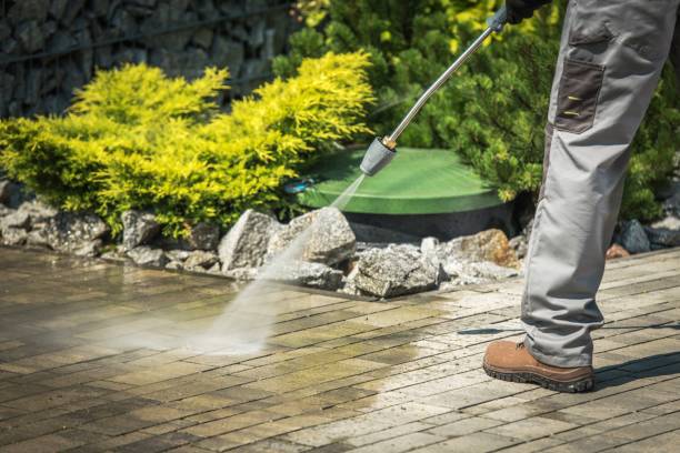 Best Playground Equipment Cleaning  in East Bronson, FL