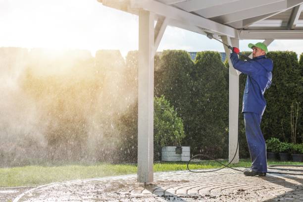 Best Roof Washing  in East Bronson, FL
