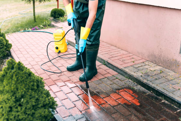 Animal Enclosure Cleaning in East Bronson, FL